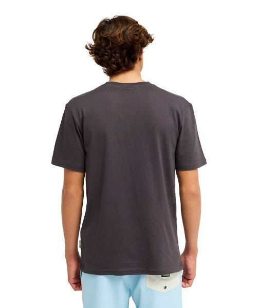 Quiksilver(クイックシルバー)の「クイックシルバー QUIKSILVER OPQS WANTED SS(Tシャツ/カットソー・メンズ・ダークグレー/アイボリー・M/L/LL/S)」の14枚目の写真