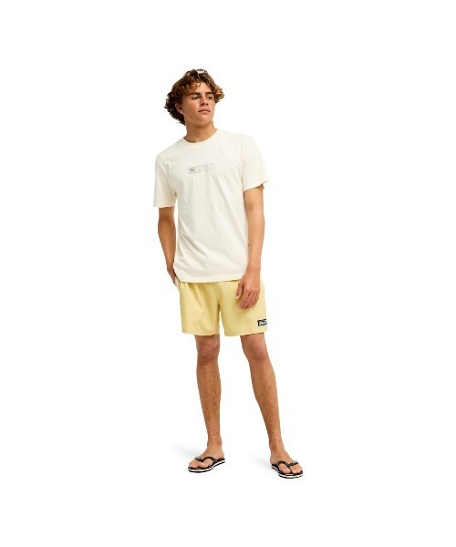 Quiksilver(クイックシルバー)の「クイックシルバー QUIKSILVER OPQS WANTED SS(Tシャツ/カットソー・メンズ・ダークグレー/アイボリー・M/L/LL/S)」の15枚目の写真