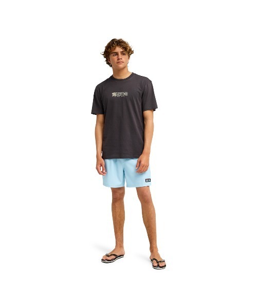 Quiksilver(クイックシルバー)の「クイックシルバー QUIKSILVER OPQS WANTED SS(Tシャツ/カットソー・メンズ・ダークグレー/アイボリー・M/L/LL/S)」の16枚目の写真