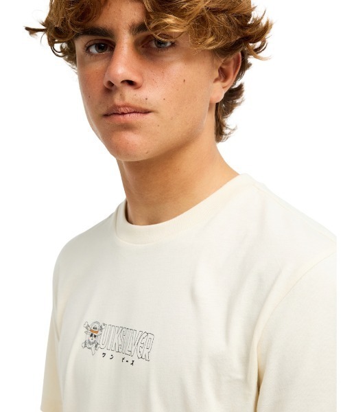 Quiksilver(クイックシルバー)の「クイックシルバー QUIKSILVER OPQS WANTED SS(Tシャツ/カットソー・メンズ・ダークグレー/アイボリー・M/L/LL/S)」の3枚目の写真
