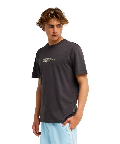 Quiksilver(クイックシルバー)の「クイックシルバー QUIKSILVER OPQS WANTED SS(Tシャツ/カットソー・メンズ・ダークグレー/アイボリー・M/L/LL/S)」の8枚目の写真