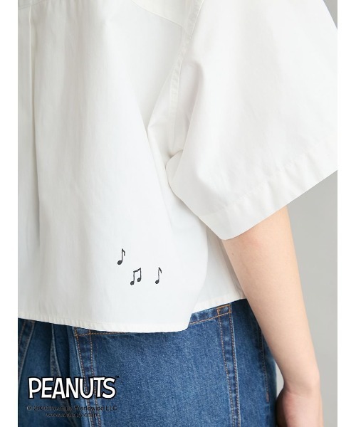 Mila Owen(ミラオーウェン)の「【PEANUTS RECORDS】ボタンダウン短丈シャツ(シャツ/ブラウス・レディース・ピンク/ホワイト/ストライプ・F)」の12枚目の写真