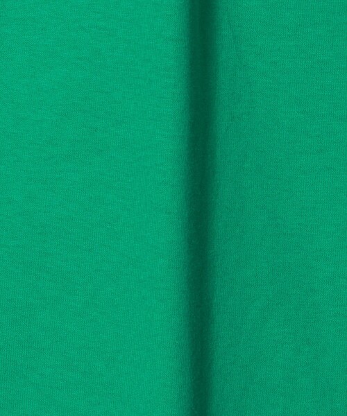 Steven Alan（スティーブンアラン）の「＜PORT & COMPANY＞ ESNTL MOCK/Tシャツ（Tシャツ/カットソー・メンズ・ネイビー/ケリーグリーン・L/M）」の8枚目の写真