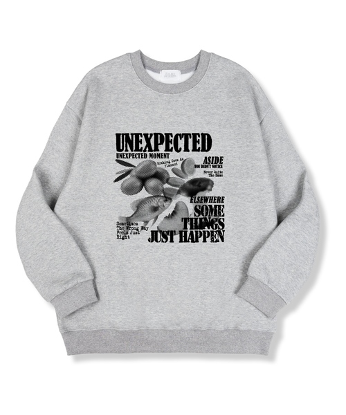 TI.GLAKE(ティーグレイク)の「エイサイドオーバーフィット特裏毛マンツーマンTシャツ4カラー(スウェット・レディース・ブラック/ネイビー/グレー/チャコール・MEDIUM/LARGE/X-LARGE/XX-LARGE)」の1枚目の写真
