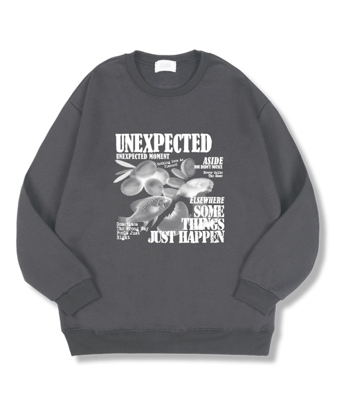 TI.GLAKE(ティーグレイク)の「エイサイドオーバーフィット特裏毛マンツーマンTシャツ4カラー(スウェット・レディース・ブラック/ネイビー/グレー/チャコール・MEDIUM/LARGE/X-LARGE/XX-LARGE)」の3枚目の写真