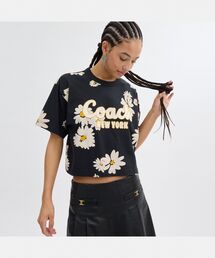 すぐ届く COACH ストライプ Tシャツ 楽天市場】【SALE／70%OFF】COACH OUTLET 【公式】ストライプ T