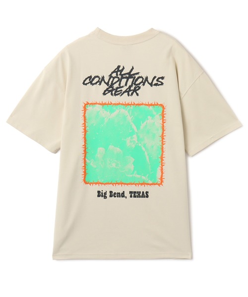 NIKE ACG（ナイキエィシージー）の「NIKE AS M ACG TEE OC CACTUS / ナイキ ACG OC カクタス S/S Tシャツ 【SP】（Tシャツ/カットソー・メンズ・カーキ/グリーン・M/S/XXL/XL/L）」の7枚目の写真