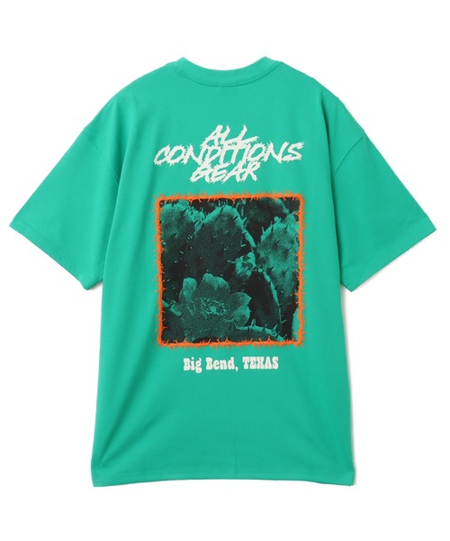 NIKE ACG（ナイキエィシージー）の「NIKE AS M ACG TEE OC CACTUS / ナイキ ACG OC カクタス S/S Tシャツ 【SP】（Tシャツ/カットソー・メンズ・カーキ/グリーン・M/S/XXL/XL/L）」の16枚目の写真