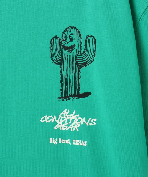 NIKE ACG（ナイキエィシージー）の「NIKE AS M ACG TEE OC CACTUS / ナイキ ACG OC カクタス S/S Tシャツ 【SP】（Tシャツ/カットソー・メンズ・カーキ/グリーン・M/S/XXL/XL/L）」の13枚目の写真