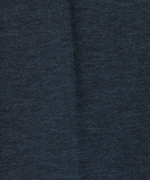 NOLLEY'S LIGHT(ノーリーズライト)の「《ビジカジ/セットアップ対応》カルゼジャージ イージーパンツ(その他パンツ・メンズ・インディゴブルー/チャコールグレー/ネイビー・M/L/XL/S)」の11枚目の写真