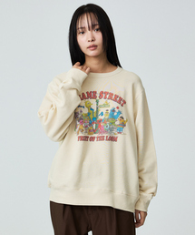 【FRUIT OF THE LOOM】ロングスリーブ甘編み裏毛1/スウェット