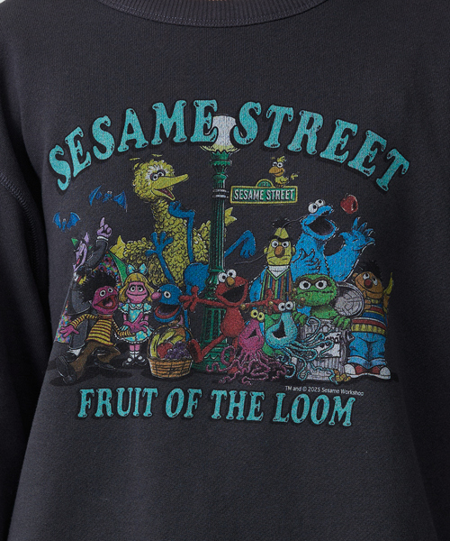 FRUIT OF THE LOOM(フルーツオブザルーム)の「【FRUIT OF THE LOOM】ロングスリーブ甘編み裏毛1/スウェット(Tシャツ/カットソー・メンズ・アイボリー/ブラック・L)」の5枚目の写真