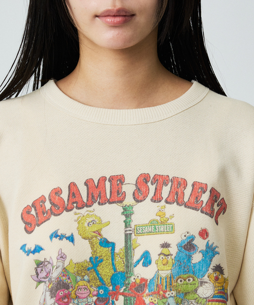 FRUIT OF THE LOOM(フルーツオブザルーム)の「【FRUIT OF THE LOOM】ロングスリーブ甘編み裏毛1/スウェット(Tシャツ/カットソー・メンズ・アイボリー/ブラック・L)」の13枚目の写真