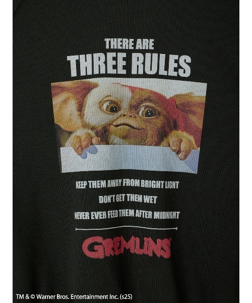 Ameri(アメリ)の「GREMLINS PHOTO PRINT SWEAT TOP(スウェット・レディース・スミクロ/アイボリー・FREE)」の20枚目の写真