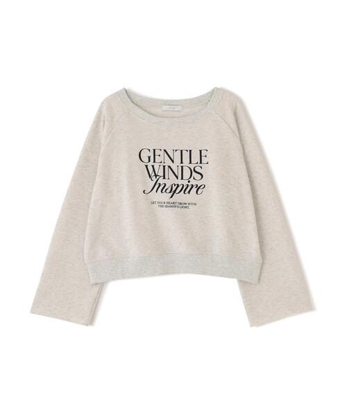 PROPORTION BODY DRESSING(プロポーションボディドレッシング)の「<ウォッシャブル><a>ラグランロゴトップス / 1216169203(Tシャツ/カットソー・レディース・グレー/ダークグレー/オフホワイト・FREE)」の19枚目の写真