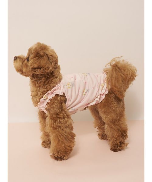 gelato pique（ジェラートピケ）の「【CAT&DOG】【接触冷感】シロクマひんやりスイーツ柄 Coolingフリルプルオーバー（ペットウェア・レディース・ブルー/ピンク・S/M/L）」の20枚目の写真
