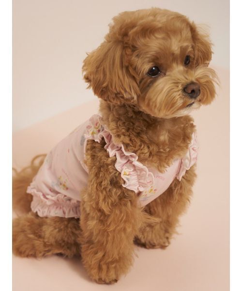 gelato pique（ジェラートピケ）の「【CAT&DOG】【接触冷感】シロクマひんやりスイーツ柄 Coolingフリルプルオーバー（ペットウェア・レディース・ブルー/ピンク・S/M/L）」の22枚目の写真