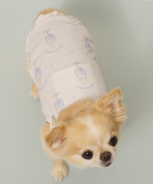 gelato pique（ジェラートピケ）の「【CAT&DOG】【接触冷感】シロクマひんやりスイーツ柄 Coolingフリルプルオーバー（ペットウェア・レディース・ブルー/ピンク・S/M/L）」の13枚目の写真