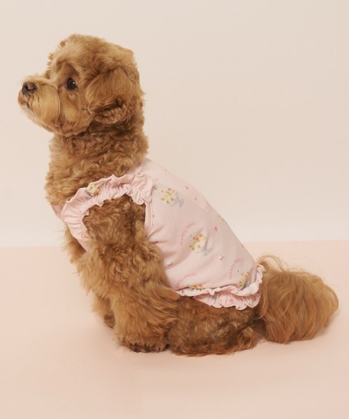 gelato pique（ジェラートピケ）の「【CAT&DOG】【接触冷感】シロクマひんやりスイーツ柄 Coolingフリルプルオーバー（ペットウェア・レディース・ブルー/ピンク・S/M/L）」の3枚目の写真