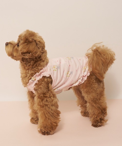 gelato pique（ジェラートピケ）の「【CAT&DOG】【接触冷感】シロクマひんやりスイーツ柄 Coolingフリルプルオーバー（ペットウェア・レディース・ブルー/ピンク・S/M/L）」の4枚目の写真
