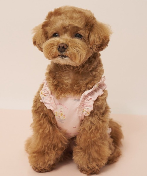 gelato pique（ジェラートピケ）の「【CAT&DOG】【接触冷感】シロクマひんやりスイーツ柄 Coolingフリルプルオーバー（ペットウェア・レディース・ブルー/ピンク・S/M/L）」の6枚目の写真