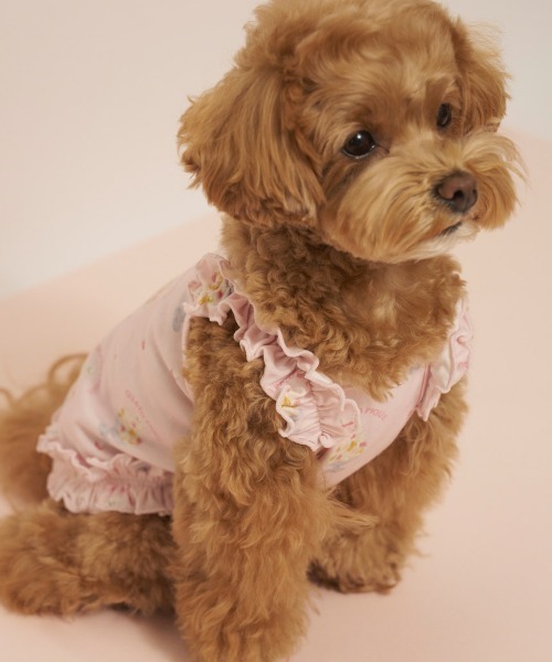 gelato pique（ジェラートピケ）の「【CAT&DOG】【接触冷感】シロクマひんやりスイーツ柄 Coolingフリルプルオーバー（ペットウェア・レディース・ブルー/ピンク・S/M/L）」の5枚目の写真