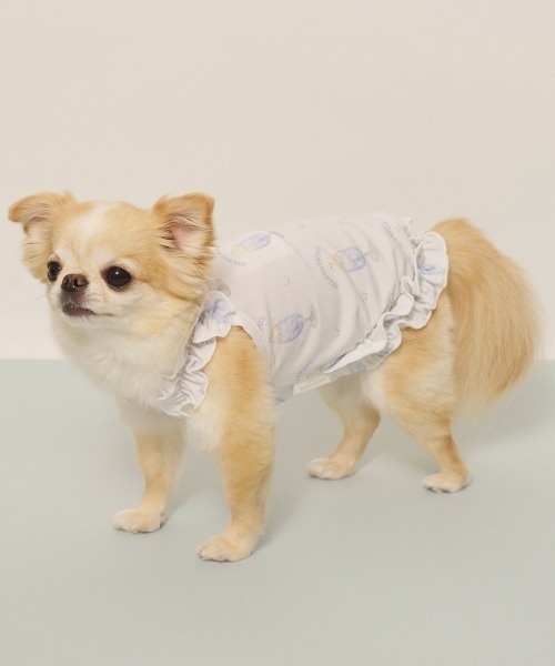 gelato pique（ジェラートピケ）の「【CAT&DOG】【接触冷感】シロクマひんやりスイーツ柄 Coolingフリルプルオーバー（ペットウェア・レディース・ブルー/ピンク・S/M/L）」の9枚目の写真