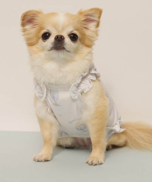 gelato pique（ジェラートピケ）の「【CAT&DOG】【接触冷感】シロクマひんやりスイーツ柄 Coolingフリルプルオーバー（ペットウェア・レディース・ブルー/ピンク・S/M/L）」の11枚目の写真