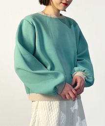 PICCIN | 配色クルーネックニット(ニット/セーター)