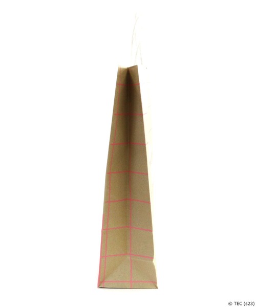 Tom＆Jerry（トムアンドジェリー）の「【公式】TOMandJERRY　ペーパーバッグ　Mセット（ラッピングキット・レディース・ピンク・FREE）」の6枚目の写真