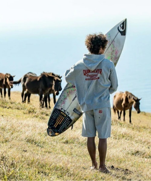 【セール】ORIGINAL SCRIPT FLEE/クイックシルバールーズフィットフロッキープリントプルオーバーフーディ（パーカー）｜Quiksilver（クイックシルバー）