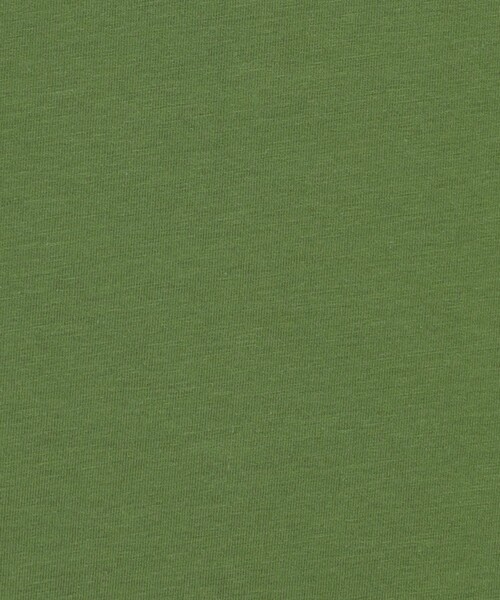 GALERIE VIE（ギャルリー ヴィー）の「スビンコットン タンクトップ（タンクトップ・レディース・ネイビー/グリーン/キャメル/グリーン系その他・FREE）」の15枚目の写真