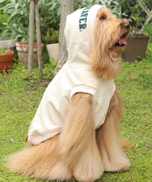 KRIFF MAYER(NtC[)́yEhbOEFAzNDOGt[hSp[J[(ybgEFA)