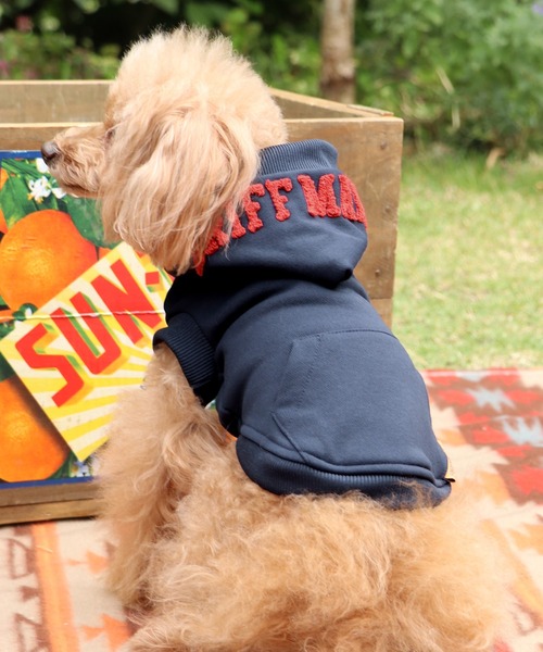 KRIFF MAYER(NtC[)́yEhbOEFAzNDOGt[hSp[J[(ybgEFA)