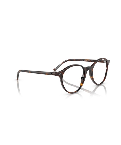 Ray-Ban（レイバン）の「Ray-Ban レイバン サングラス BERNARD TRANSITIONS トランジションズ(クリア調光レンズ)（サングラス・メンズ・ブラウン・51）」の9枚目の写真
