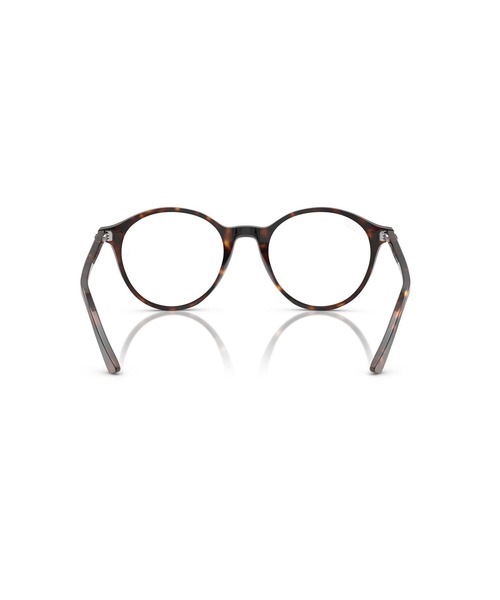 Ray-Ban（レイバン）の「Ray-Ban レイバン サングラス BERNARD TRANSITIONS トランジションズ(クリア調光レンズ)（サングラス・メンズ・ブラウン・51）」の8枚目の写真