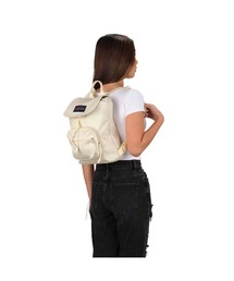 JANSPORT HIGHLANDS MINI PACK（ジャンスポーツ ハイランズミニパック）