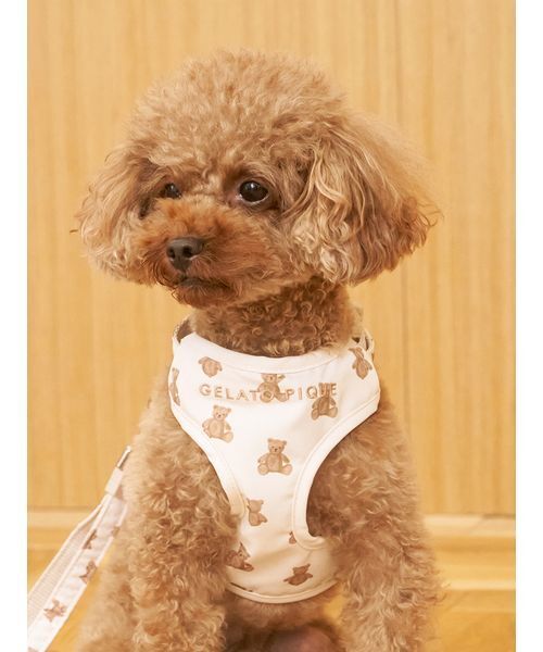 gelato pique(ジェラートピケ)の「【CAT&DOG】背中あきハーネス(リード/ハーネス/首輪・レディース・チャコールグレー/ブラウン・S/M/L)」の3枚目の写真