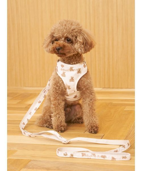 gelato pique(ジェラートピケ)の「【CAT&DOG】背中あきハーネス(リード/ハーネス/首輪・レディース・チャコールグレー/ブラウン・S/M/L)」の4枚目の写真