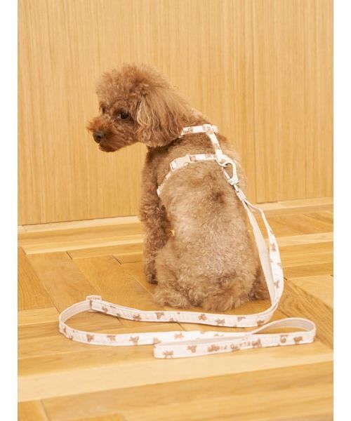 gelato pique(ジェラートピケ)の「【CAT&DOG】背中あきハーネス(リード/ハーネス/首輪・レディース・チャコールグレー/ブラウン・S/M/L)」の6枚目の写真