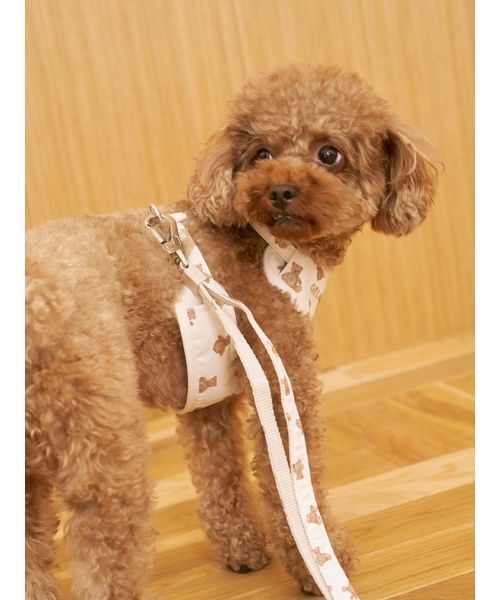 gelato pique(ジェラートピケ)の「【CAT&DOG】背中あきハーネス(リード/ハーネス/首輪・レディース・チャコールグレー/ブラウン・S/M/L)」の7枚目の写真