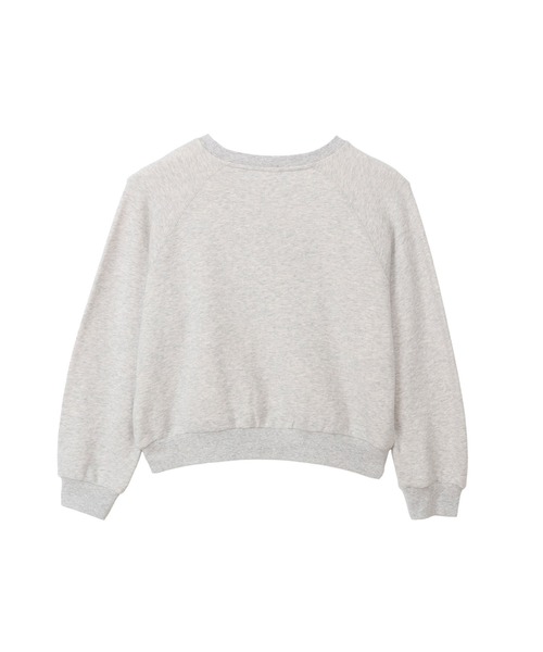 Champion(チャンピオン)の「【Champion/チャンピオン】レディース ラグランスリーブスウェットシャツ(スウェット・レディース・ヘザーグレー/ダークネイビー/ブラック系その他・LARGE/MEDIUM)」の14枚目の写真