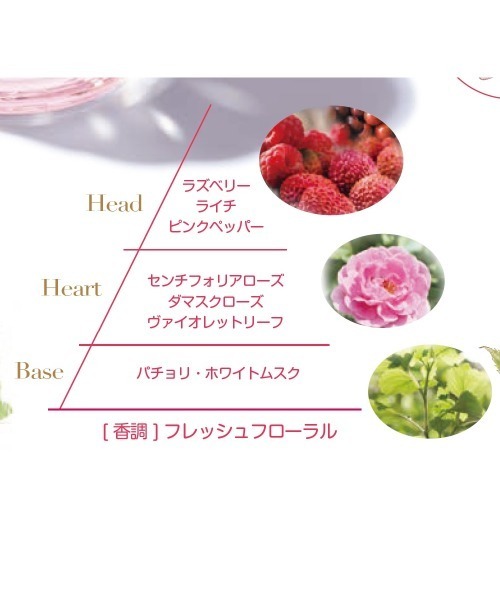 L'OCCITANE（ロクシタン）の「ロクシタン ハンドクリームギフト