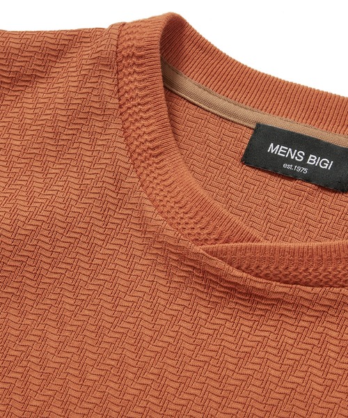 MEN'S BIGI(メンズビギ)の「シェブロン柄リンクスTシャツ(Tシャツ/カットソー・メンズ・ホワイト/ブラック/ベージュ/オレンジ・01/02/03)」の16枚目の写真