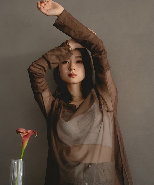 mideal(マイディール)の「sheer sleeve tops / シアースリーブトップス(Tシャツ/カットソー・レディース・ブラウン/アイボリー・FREE)」の17枚目の写真