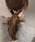 Lace Ladies�i���[�X���f�B�[�X�j�́u���^���b�N ���`�[�t�t�� �x���A �V���V�� �w�A�S���i�V���V���j�v�b�u���b�N�n2