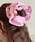 ammy.iGC~[hbgj́uy ammy. / GC~[hbg z MK`FbN J[ pCsO VViVVjvbsN