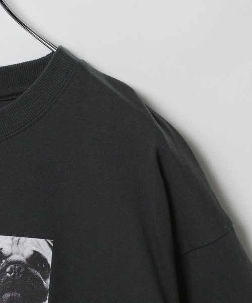 セール】PETフォトT 490665（Tシャツ/カットソー）｜LEPSIM