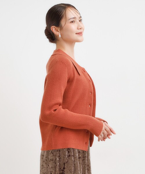 DRESKIP（ドレスキップ）の「カジュアルながらも上品な 襟付きリブニット（ニット/セーター・レディース・ブラック/グレー/ダークブラウン/レンガ・04/01/02/03）」の18枚目の写真