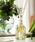 DR. VRANJES�i�h�b�g�[�������j�G�X�j�́uGREEN FLOWERS �q�O���[�� �t�����[�Y�r 500ml �f�B�t���[�U�[�i���[���t���O�����X/�����j�v�b���̑�